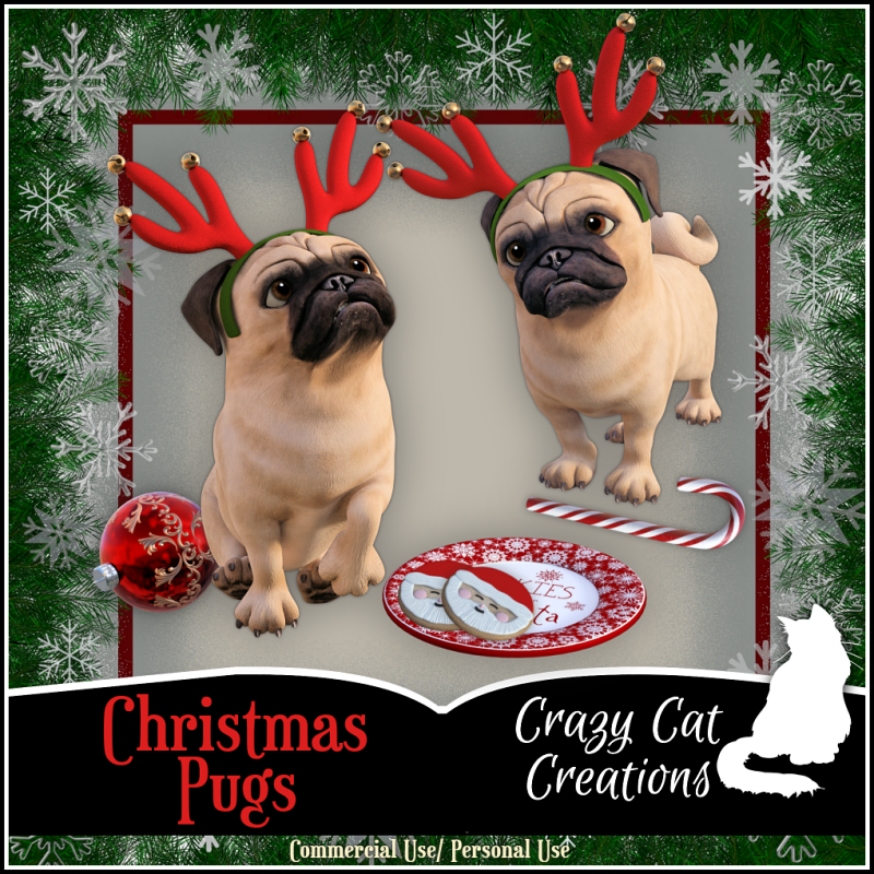CCC_Christmas Pugs CU - Click Image to Close